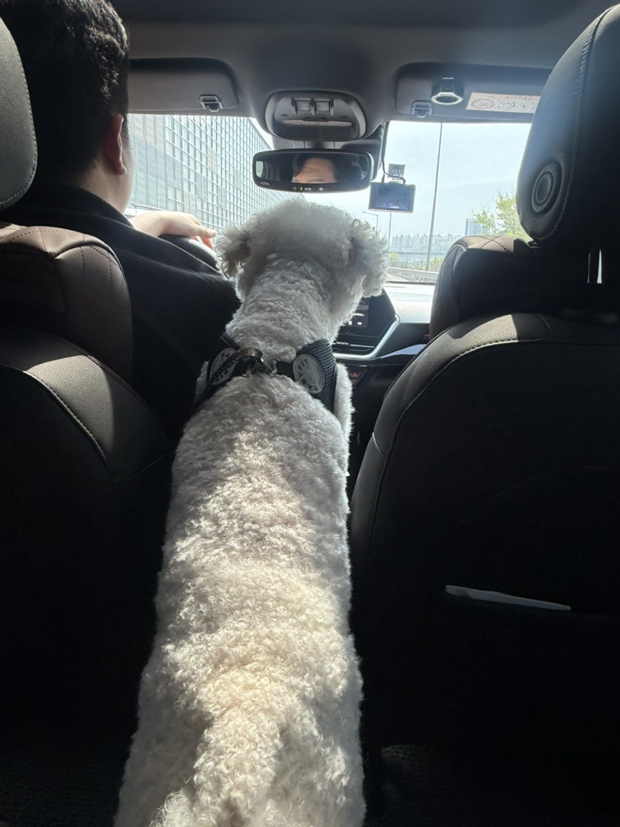 후하참숯생고기 사진 1