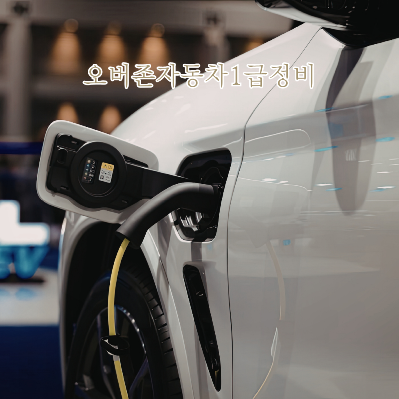 정왕동 자동차 검사소 선택 기준, 오버존자동차1급정비