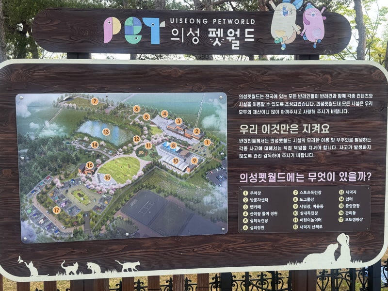 사진 5