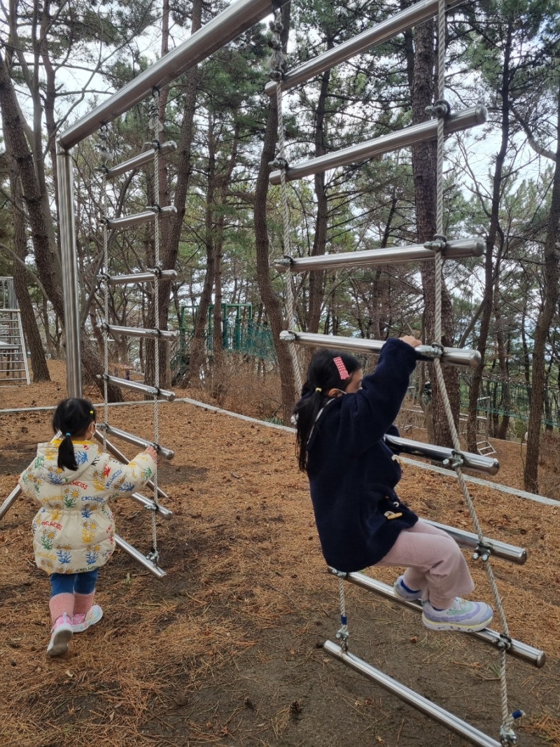 [부산 금련산 청소년 수련원]부산 숲놀이터 ,부산 놀이터