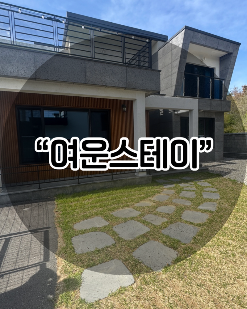 사진 3