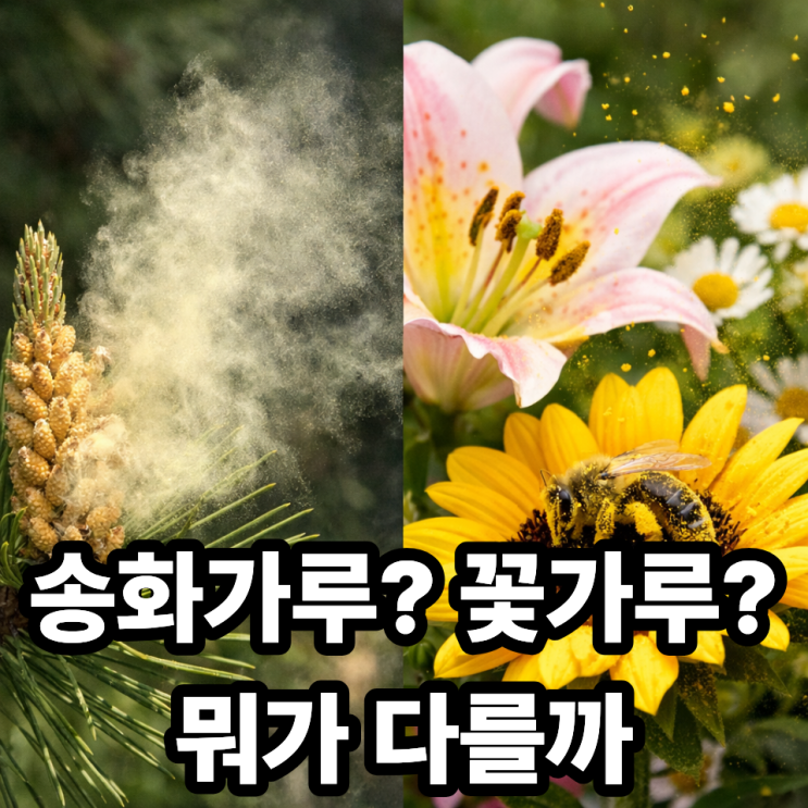  송화가루 vs 꽃가루 알레르기  헷갈리는 차이 한 번에 정리!