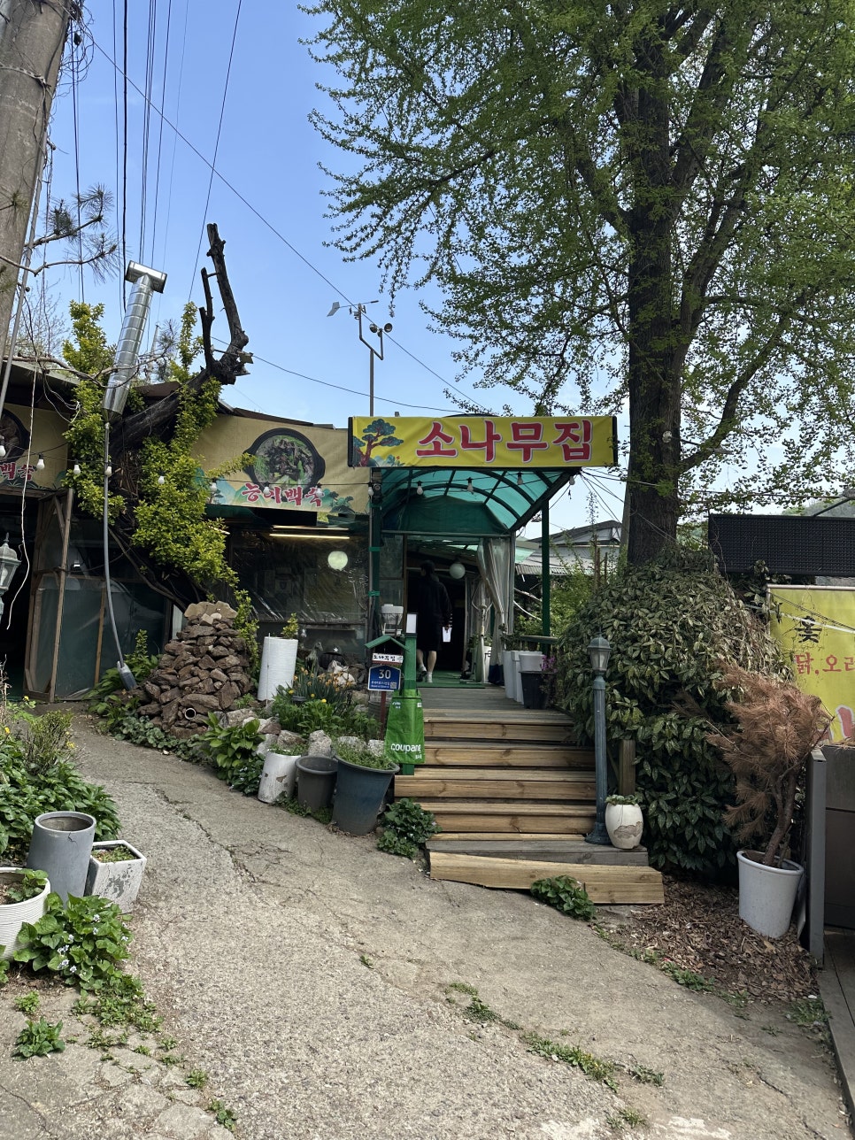 소나무집 사진 1