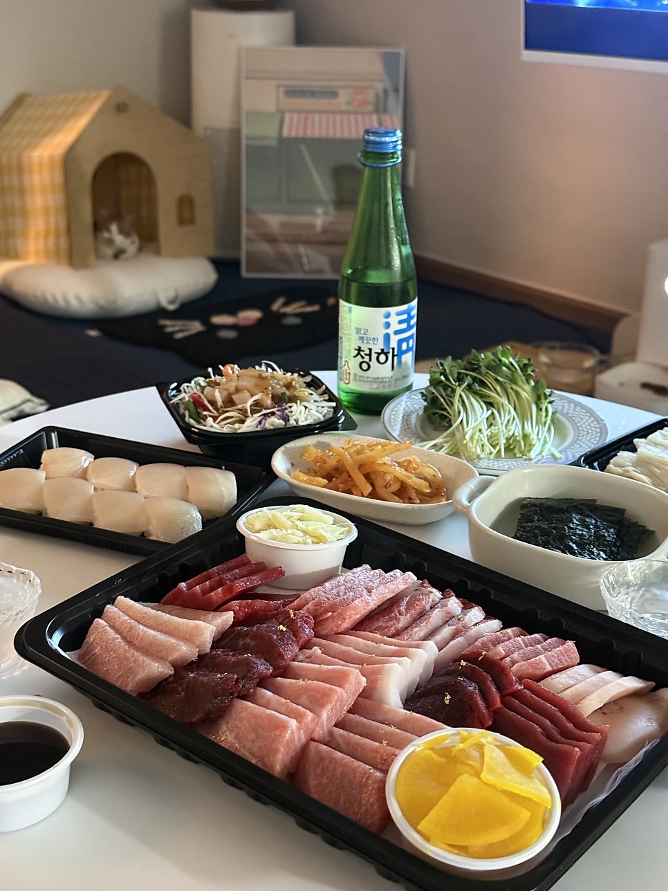 선참치 사진 4