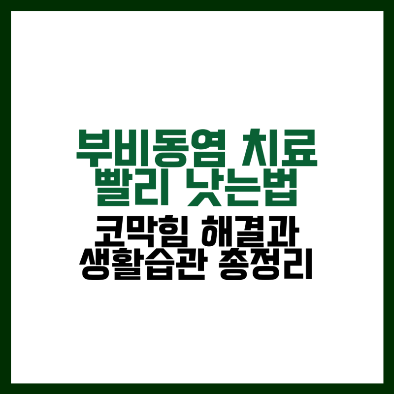 부비동염 치료 빨리 낫는법 코막힘 해결과 생활습관 총정리