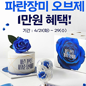 파리바게뜨 파란장미 케이크 사전예약 총정리 (굿즈 혜택까지!)