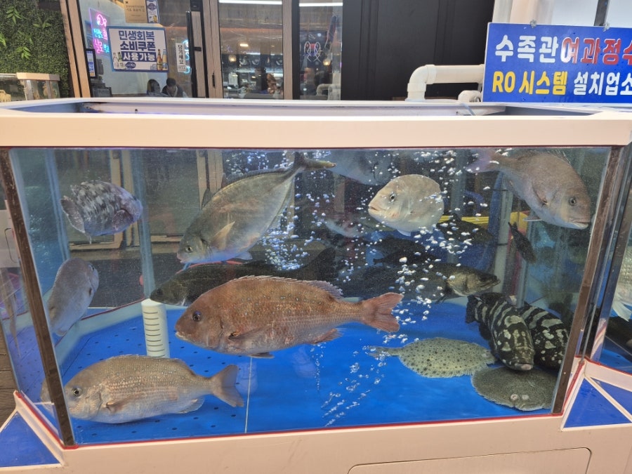 대포항회수산 사진 2