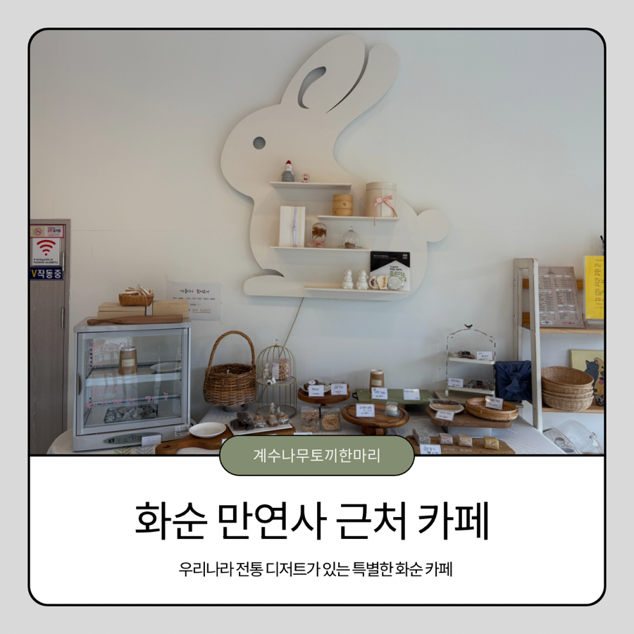 계수나무 토끼한마리 사진 1