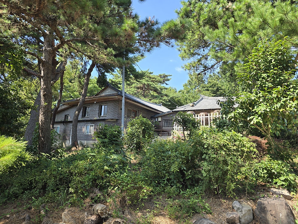 보평산 사진 2
