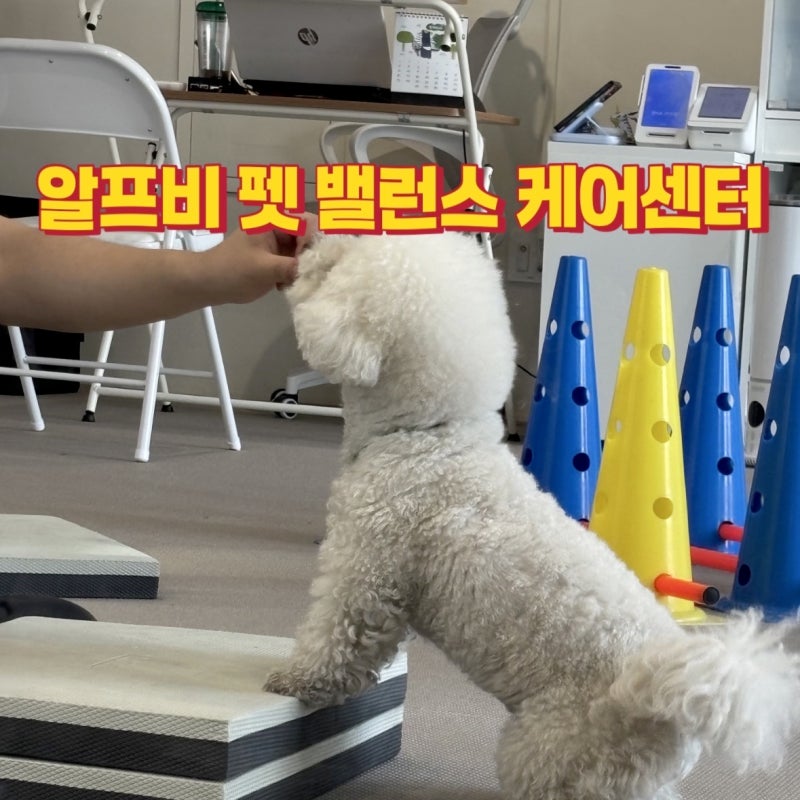 알프비 펫 밸런스 케어 센터