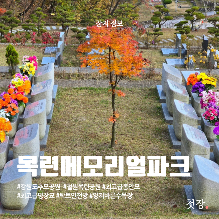  철원 목련공원 목련메모리얼파크 수목장 평장묘 가격 위치 시설 정보 [첫장]