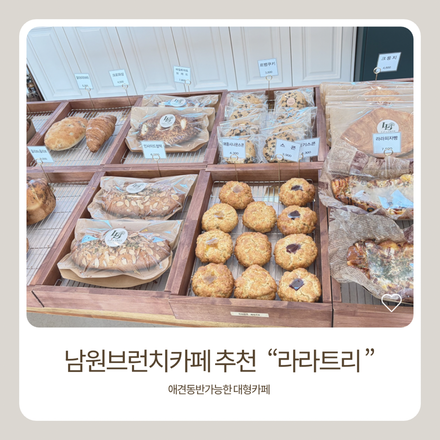 라라트리 사진 1