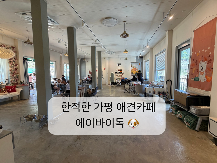 에이바이독 사진 1