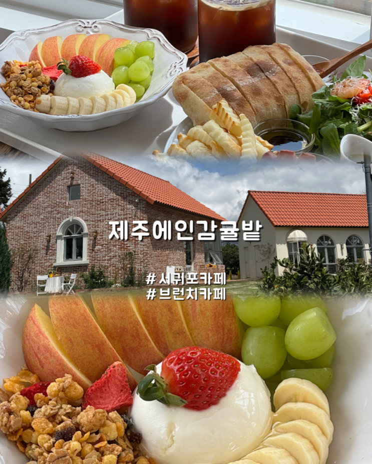  제주도 수제청만들기 자연뷰 서귀포카페 제주에인감귤밭