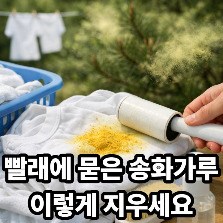  송화가루 빨래에 묻었을 때 제거하는 법  얼룩 없이 깨끗하게 지우는 꿀팁