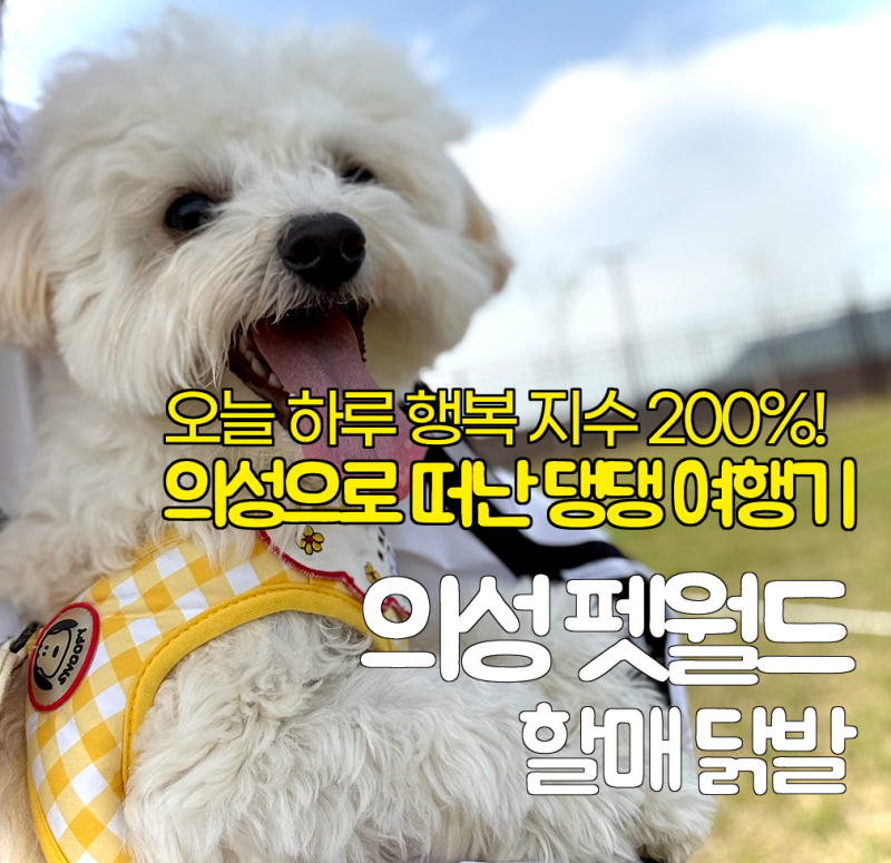 사진 4