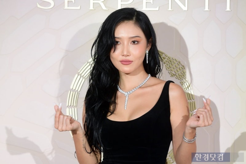 마마무 화사 나이 가수 프로필 결혼 남자친구 학력 고향 가족 근황