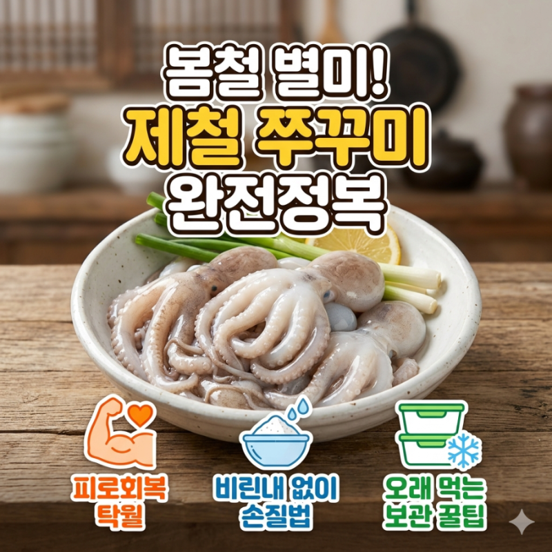 4월 제철 쭈꾸미 손질 방법과 소분 보관 꿀팁