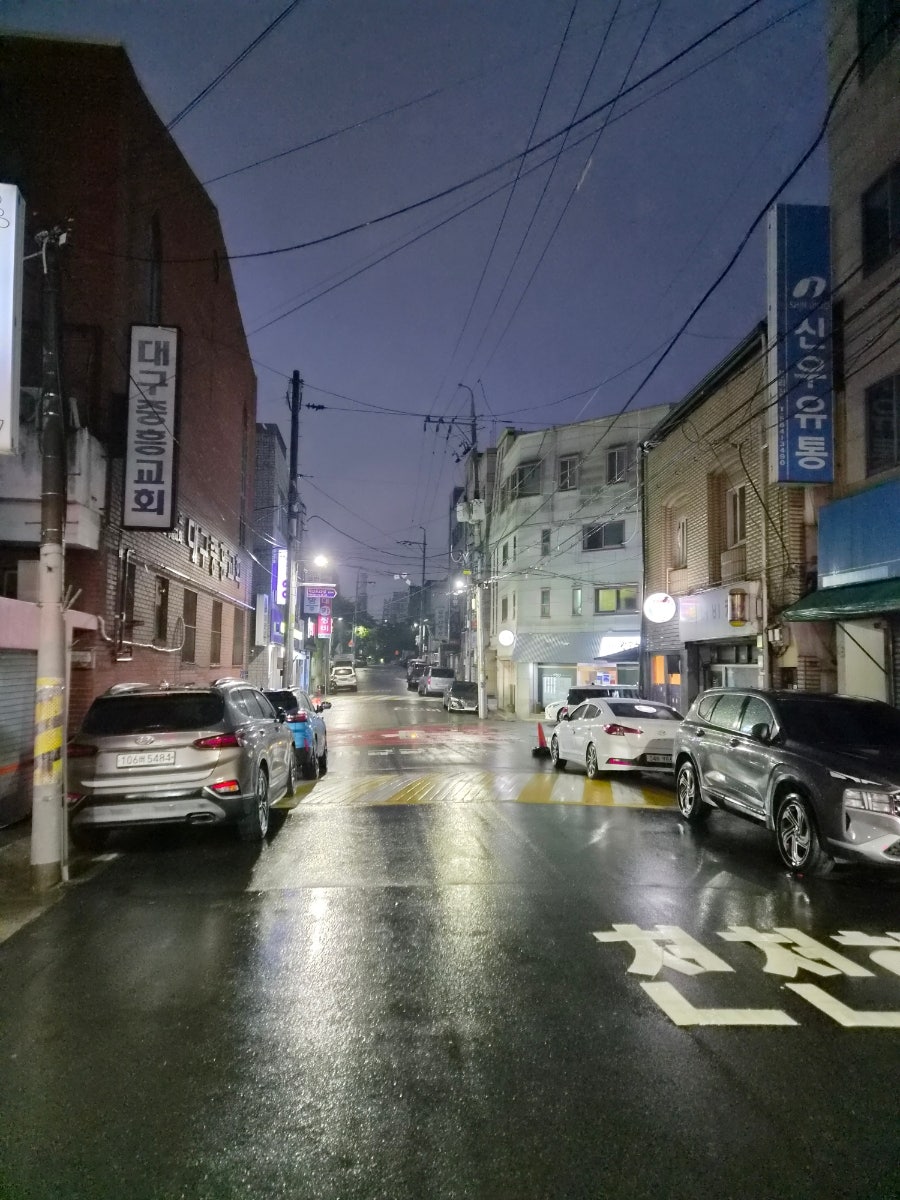 닭닭닭 사진 3