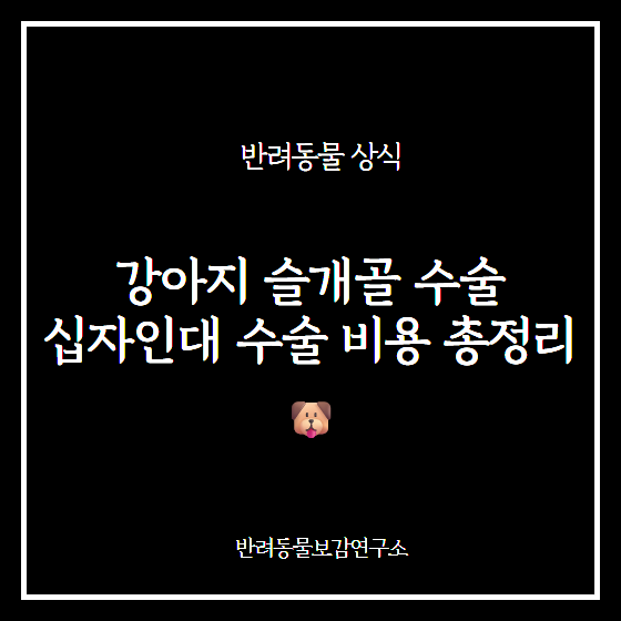 강아지 슬개골 수술, 십자인대 수술 비용 총정리 | 예방 방법은?