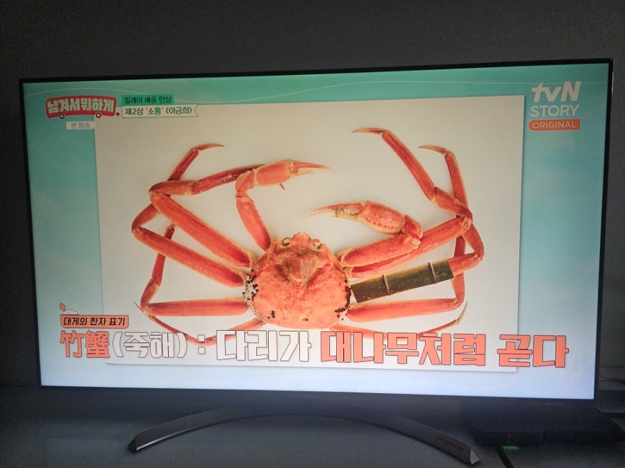완전게판 사진 6