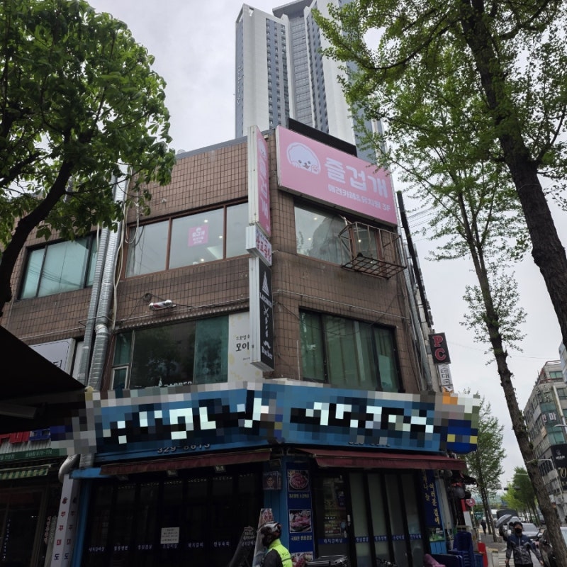 사진 2
