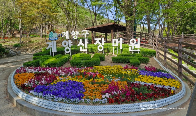 사진 5
