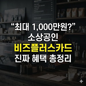소상공인 비즈플러스 카드 사용방법, 사용처, 연체관리, 휴업하면 어떻게할까?