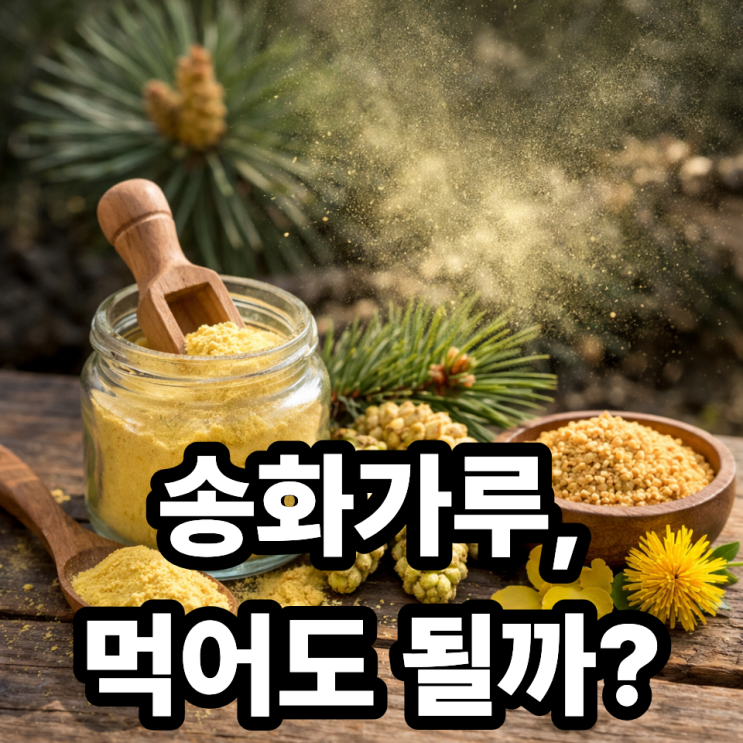  송화가루 먹어도 될까?  건강 영향 제대로 분석해보니
