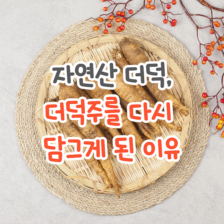  자연산더덕 야생더덕 더덕주의 효능 올해 또 담그는 이유