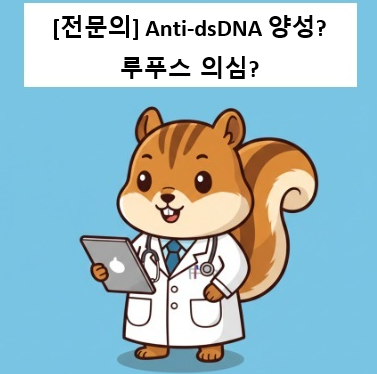 [전문의] 항-dsDNA 항체란? 수치 의미, 정상범위, 루푸스와의 관계 (진단검사 전문의 설명)