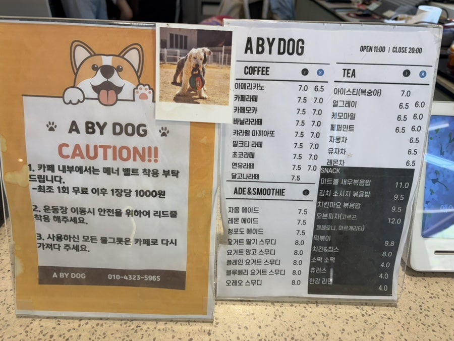 에이바이독 사진 4
