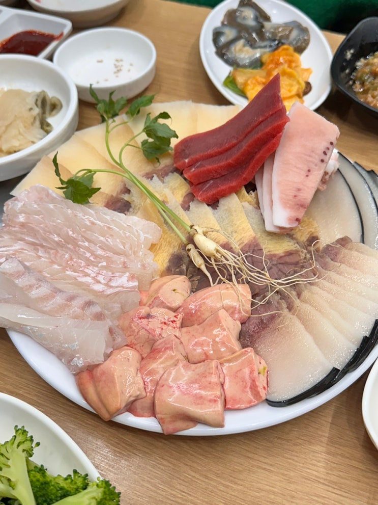  부산 자갈치 금화횟집 후기 | 홍어애 고래고기 먹어본 로컬 찐맛집