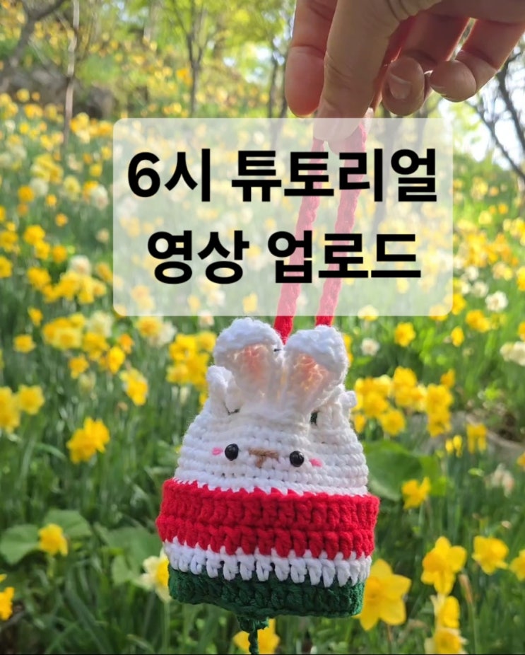  6시에 튜토리얼 영상 업로드 예정/수박토끼 텀블러 백 뜨기