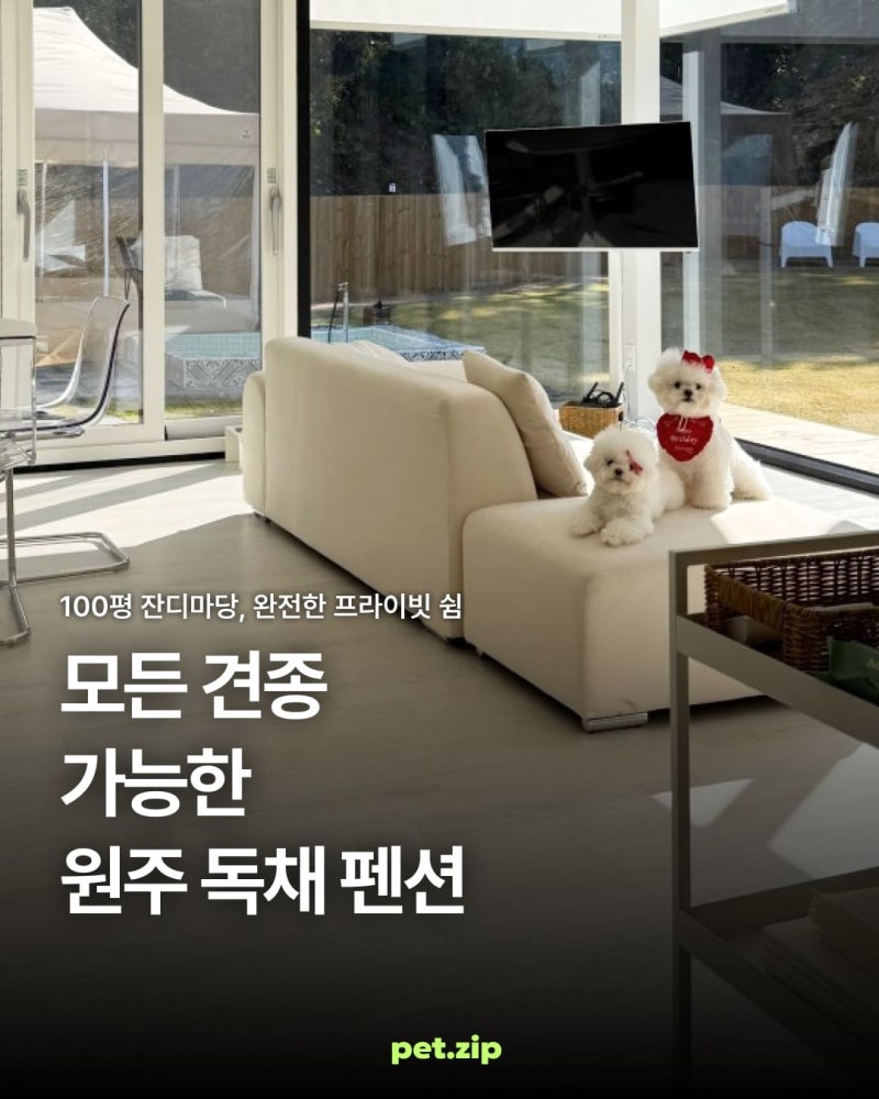 사진 3