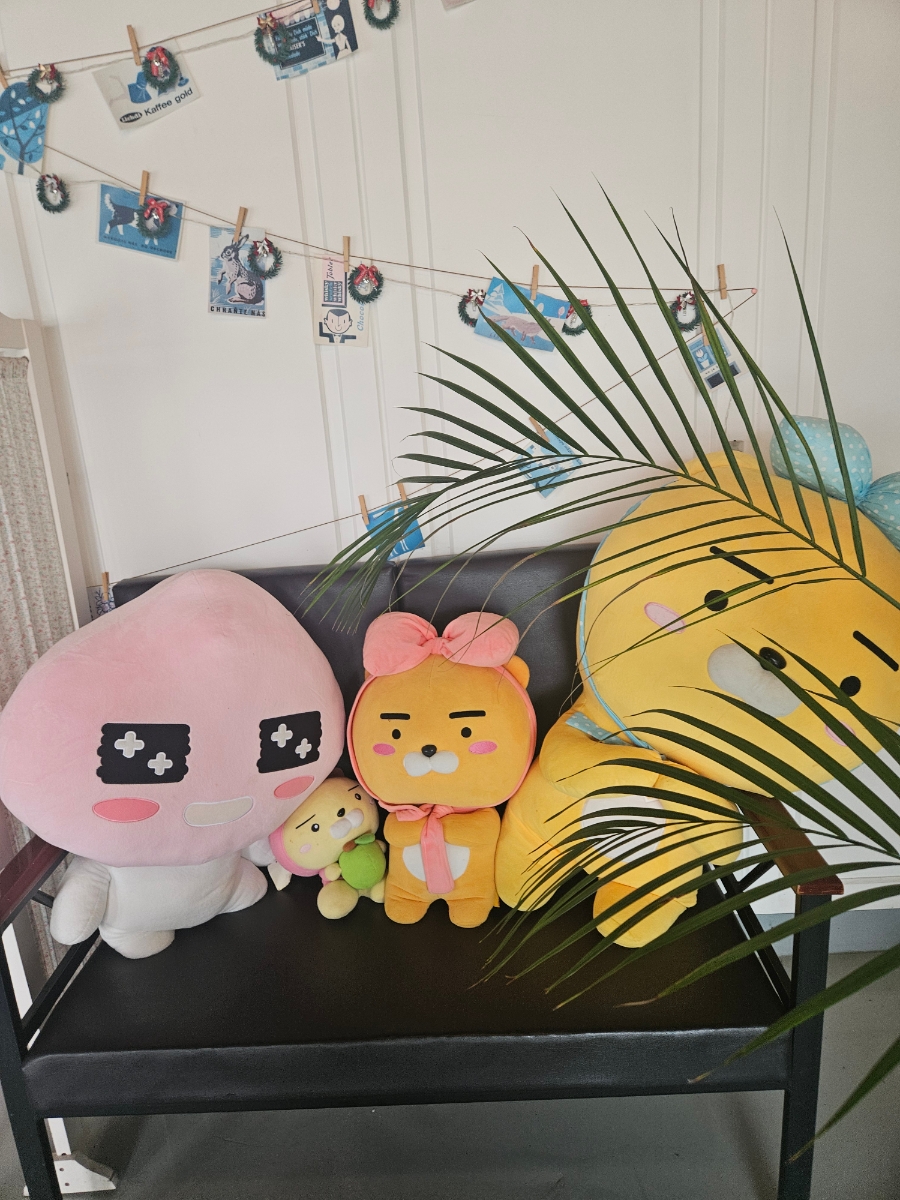 아이올라 사진 3