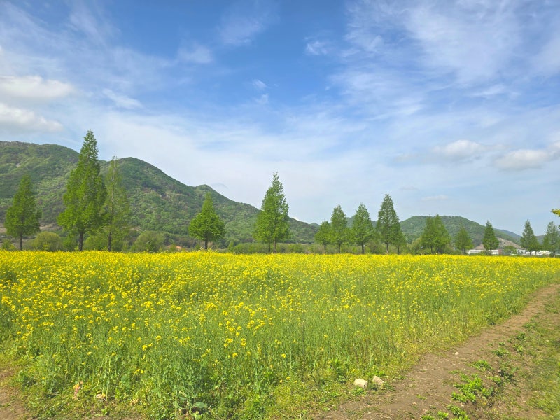 사진 8