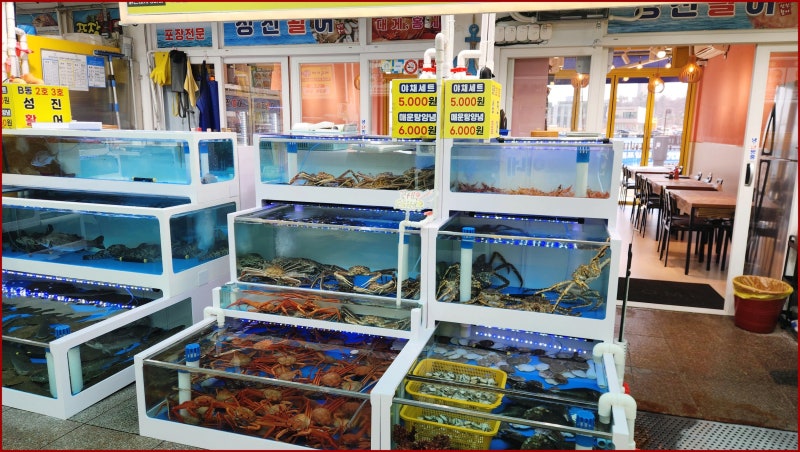 사진 4