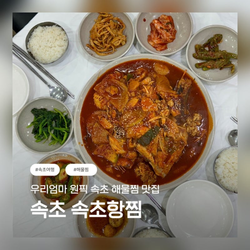 속초 해물찜 맛집 / 속초항찜