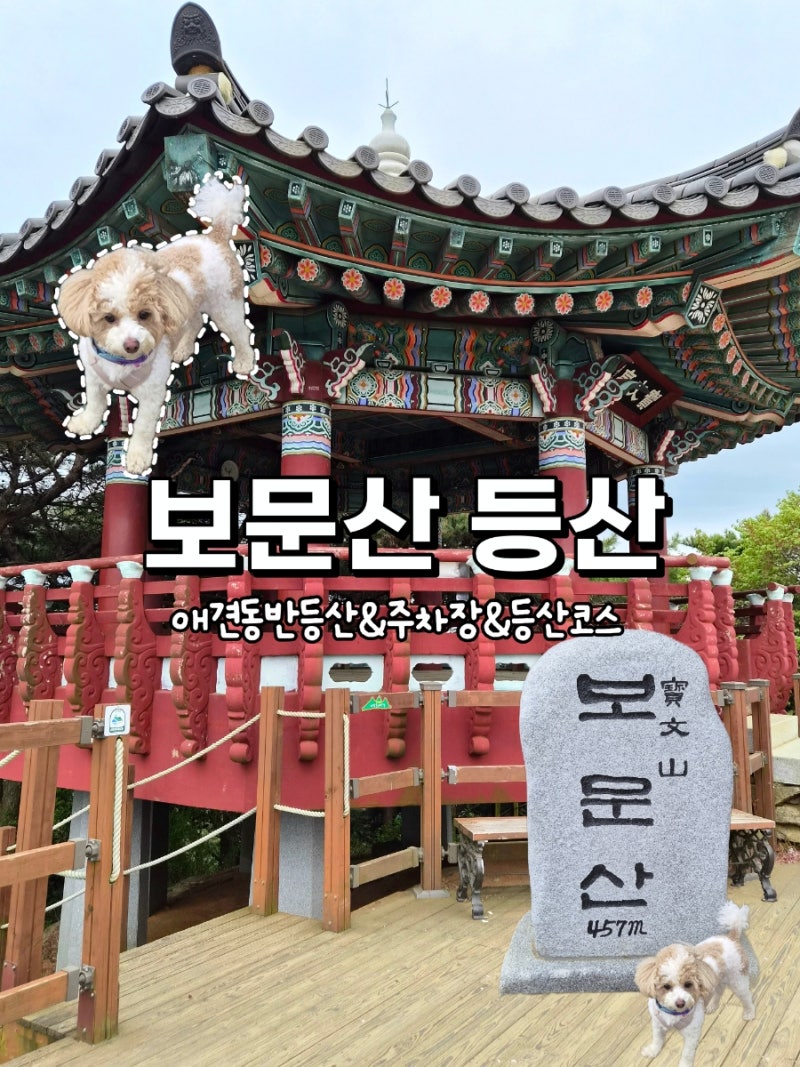 충청도 산 추천 대전 보문산 애견동반·주차장·등산코스