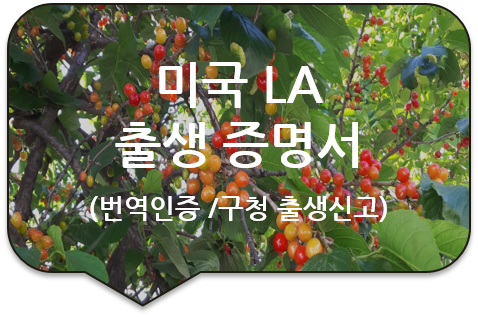 광진구청 출생신고/ 미국 캘리포니아주 로스 앤젤레스(LA) '출생 증명서' 번역공증 [남양주/구리/다산/위례번역]