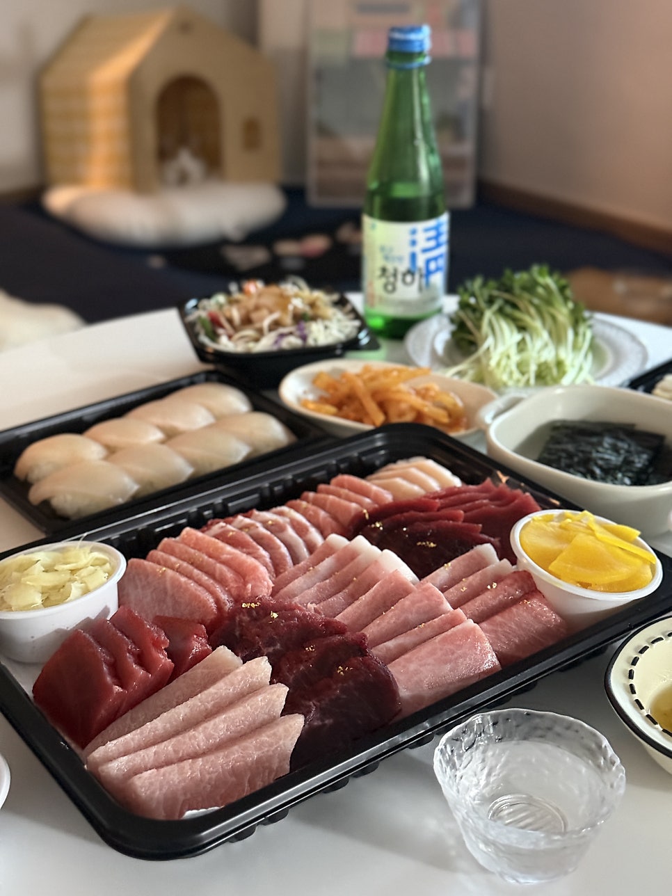 선참치 사진 3