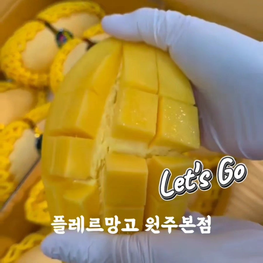 플레르망고 사진 2