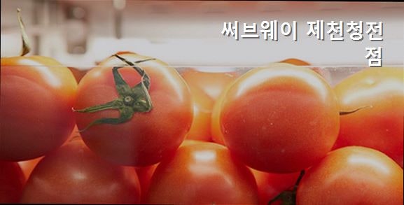 써브웨이 제천청전점 사진 2