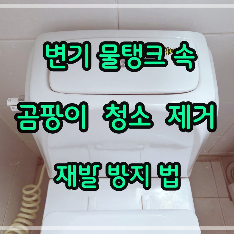 변기 물탱크 곰팡이 원인과 해결법 정리
