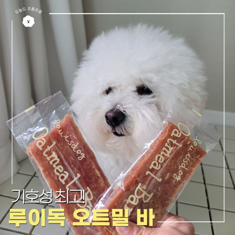 루이독 간식 오트밀 바 치킨 져키 기호성 좋은 닭 육포