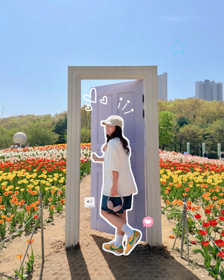  청주 피크닉 장소 문암생태공원 캠핑장 예약 튤립 꽃말 개화현황