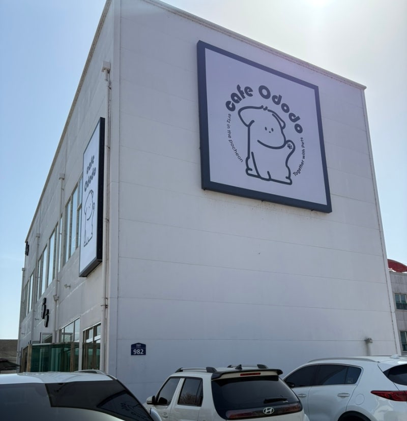 카페 오도도