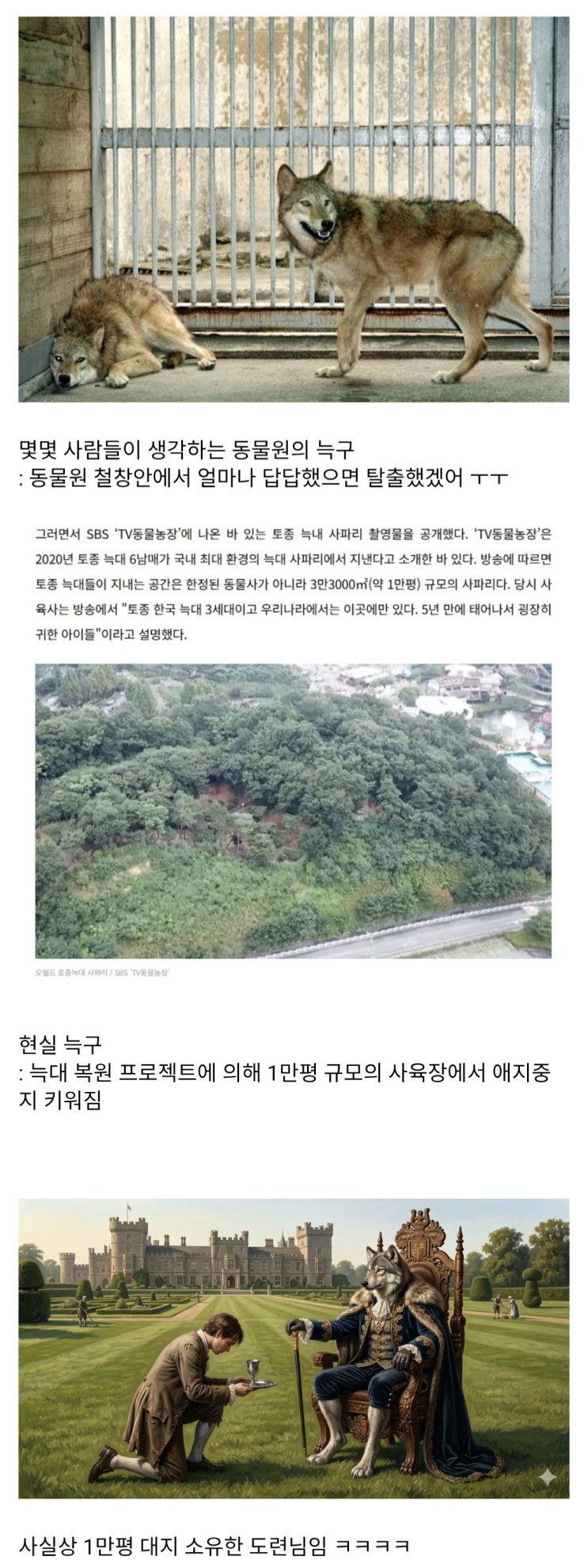 사람들이 늑구에 대해 오해하는 것.jpg