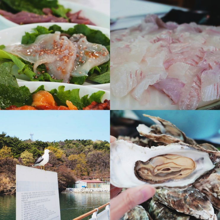  부안 변산반도 맛집 추천 가격 실화? 격포항 회센터 B동 18호